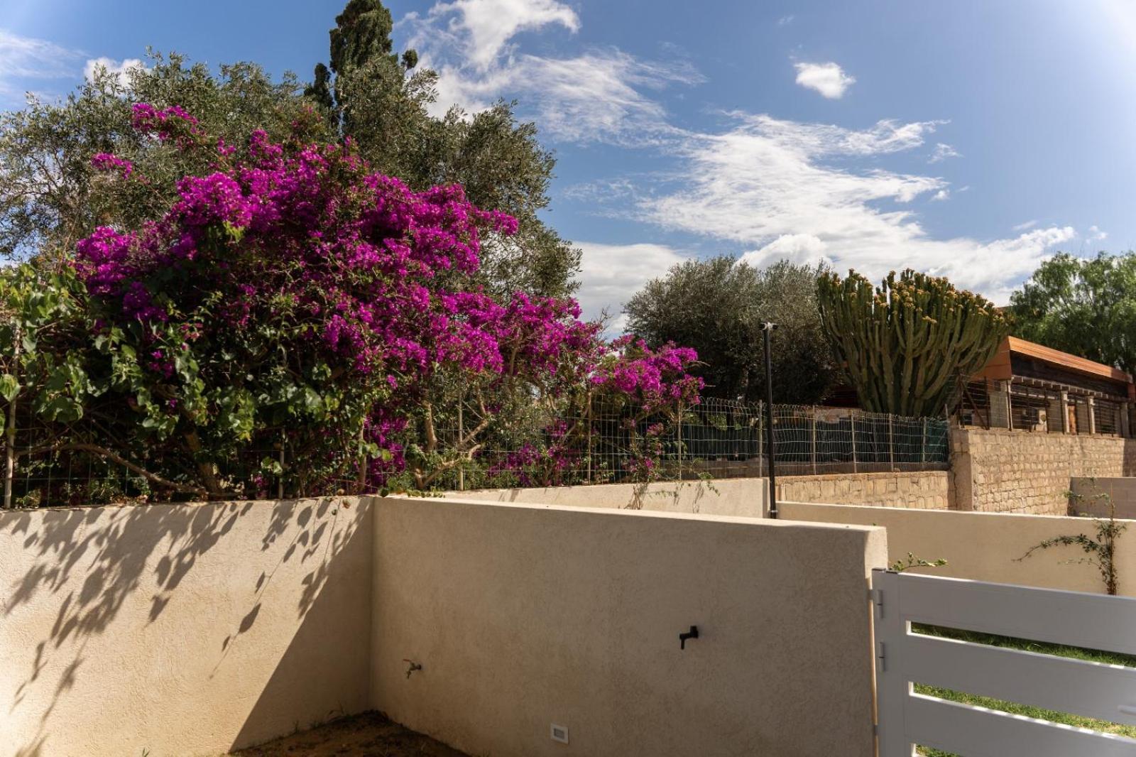 Baia Marzamemi Appartamenti Vendicari, Balata, Tonnara, Cortile Del Rais ห้อง รูปภาพ